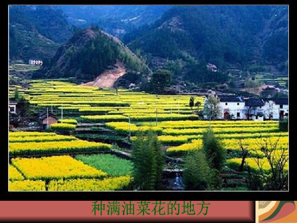 《愉快的春游》PPT课件[四年级美术下册]_第2页