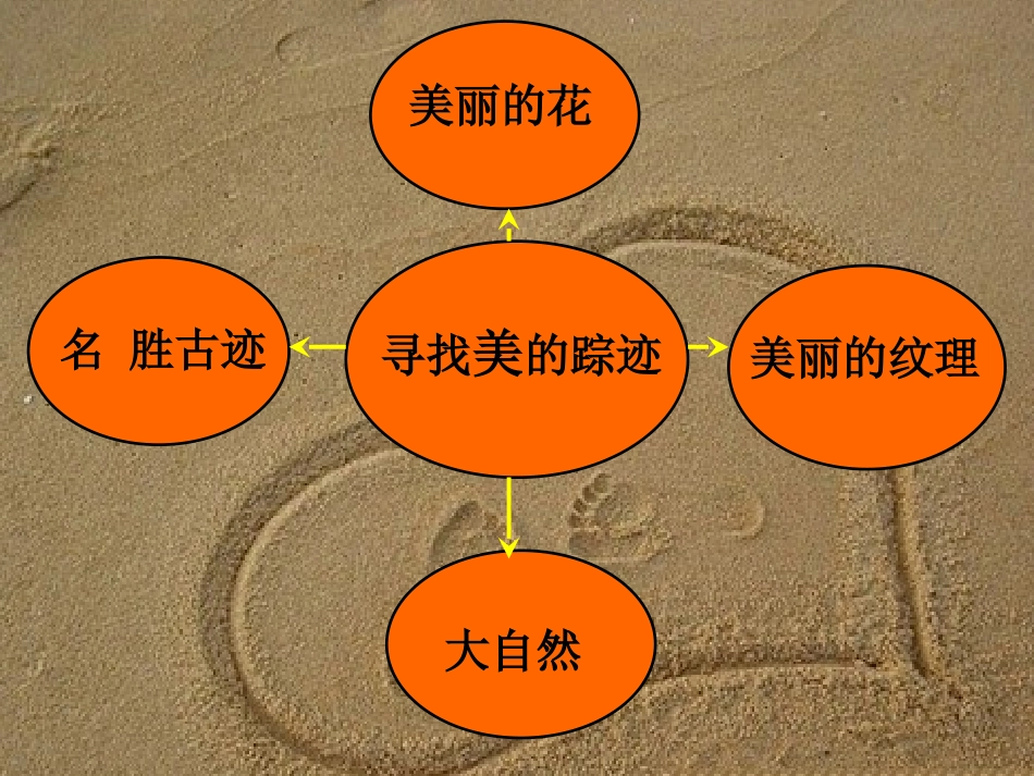 《寻找美的踪迹》PPT课件[六年级美术下册]_第2页