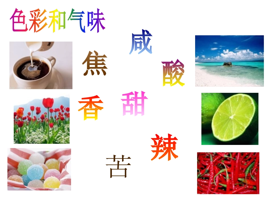 《画味觉画嗅觉》PPT课件[一年级美术下册]_第3页