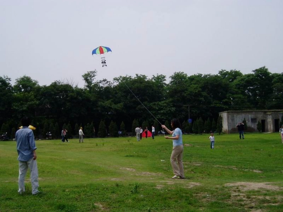 《风筝》PPT课件[三年级美术下册]_第3页