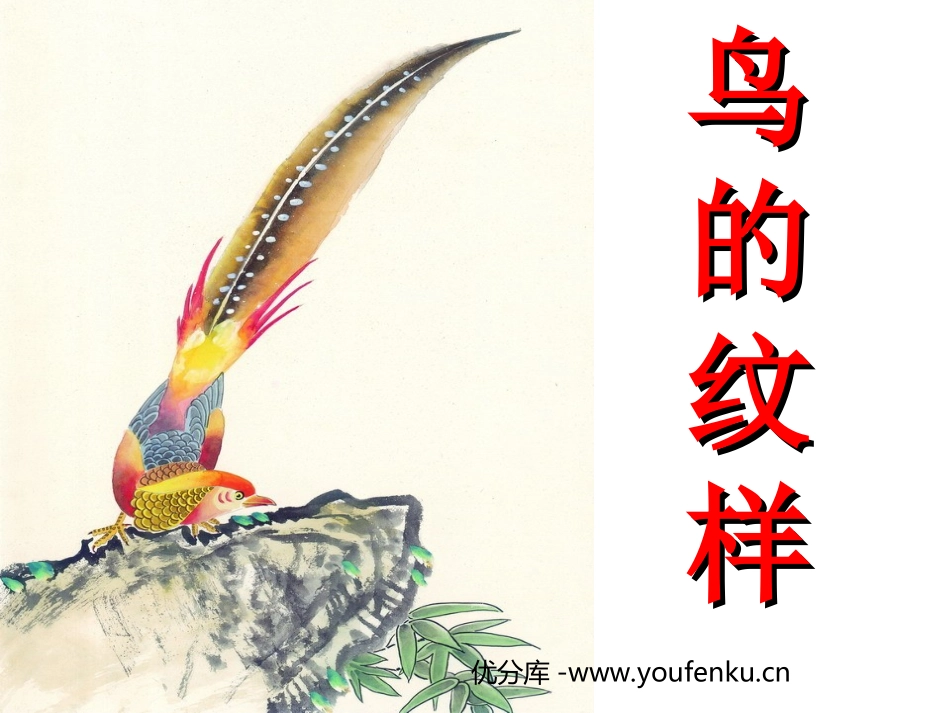 《鸟的纹样》PPT课件[三年级美术下册]_第1页