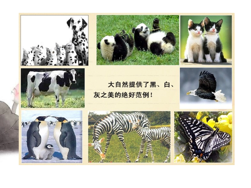 《黑白灰》PPT课件[五年级美术下册]_第2页