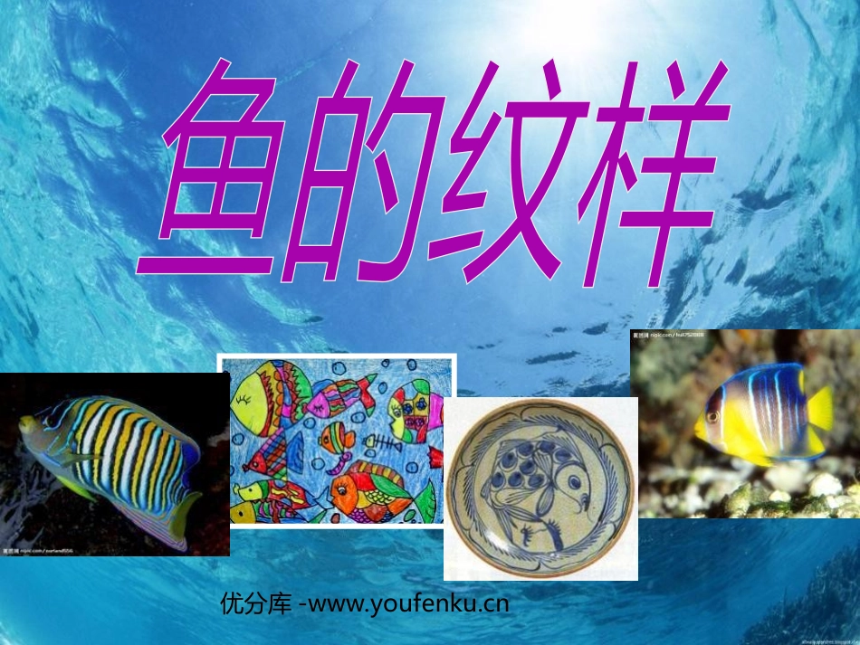 《鱼的纹样》PPT课件[五年级美术下册]_第1页