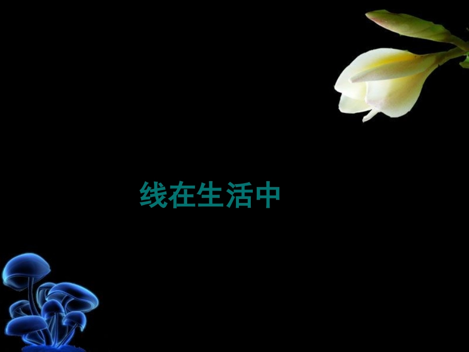 《线条的魅力》PPT课件[五年级美术下册]_第3页