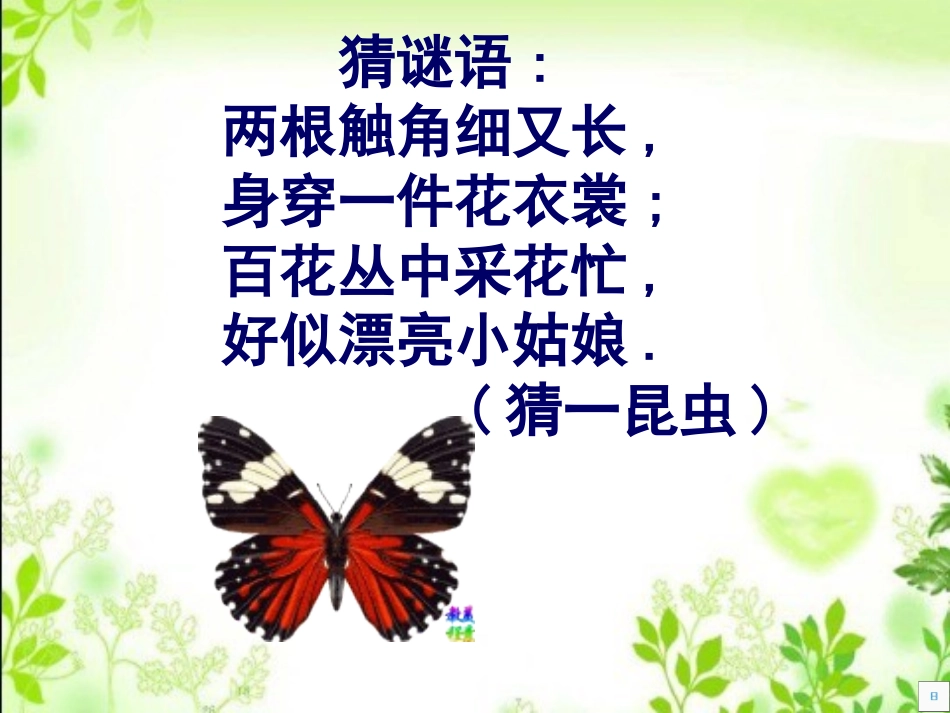 《彩蝶飞飞》PPT课件[二年级美术下册]_第2页