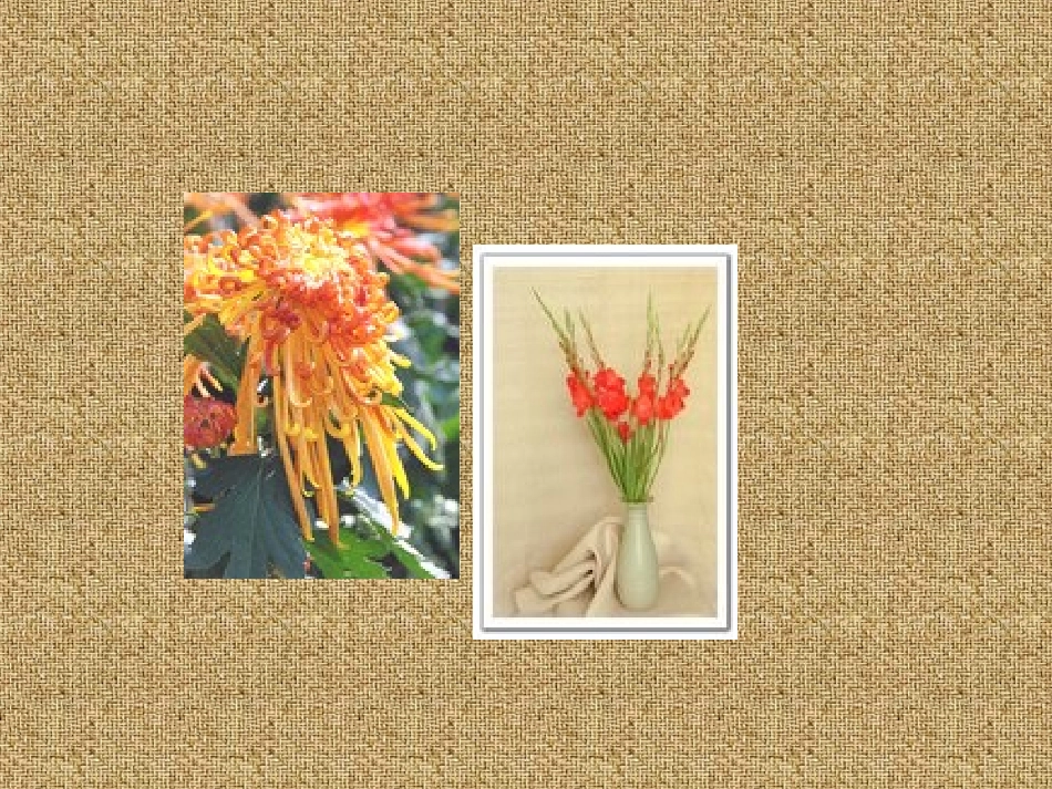 《瓶花与水果》PPT课件[六年级美术下册]_第3页