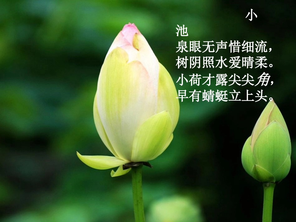 《认识角》角的初步认识PPT课件[苏教版二年级数学下册]_第2页