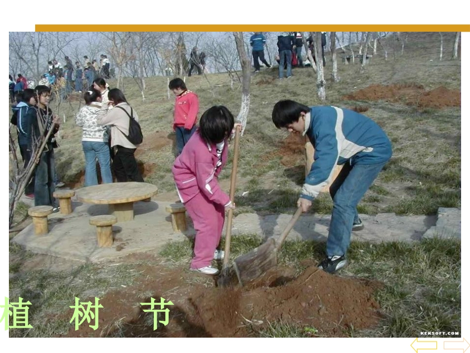 《乘法运算定律》运算律PPT课件[苏教版四年级数学下册]_第2页