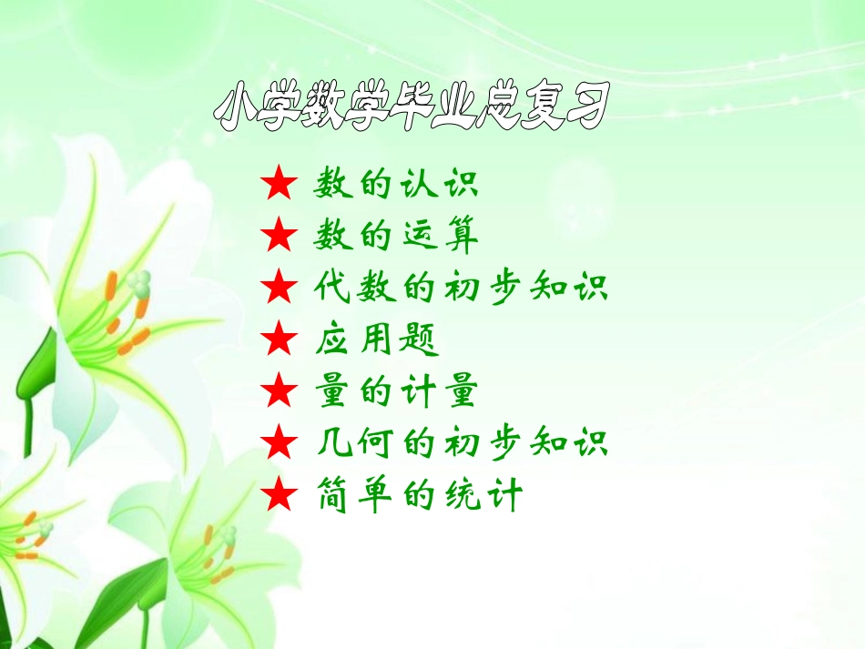 《数与代数》总复习PPT课件[苏教版六年级数学下册]_第2页