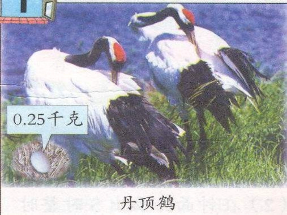 《小数的意义》小数PPT课件[西师大版四年级数学下册]_第2页