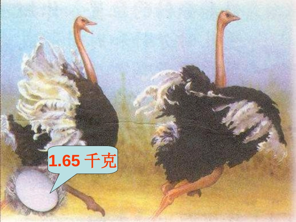 《小数的意义》小数PPT课件[西师大版四年级数学下册]_第3页