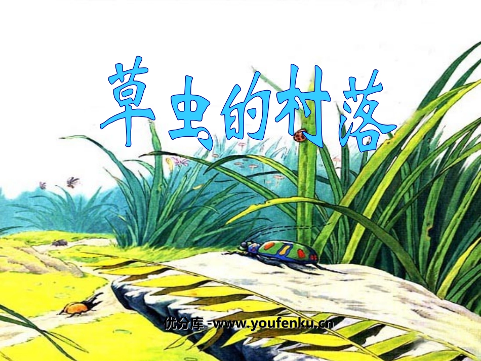 《草虫的村落》PPT课件[部编版六年级语文上册]_第1页