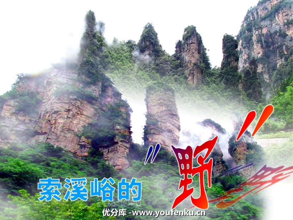 《索溪峪的“野”》PPT课件[部编版六年级语文上册]_第1页