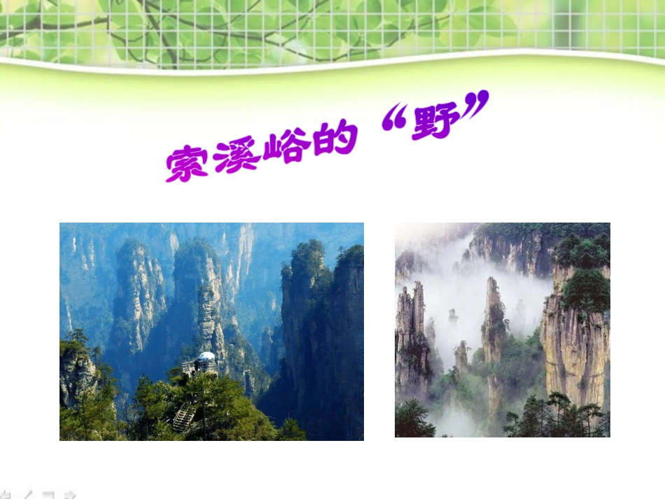 《索溪峪的“野”》PPT课件[部编版六年级语文上册]_第2页