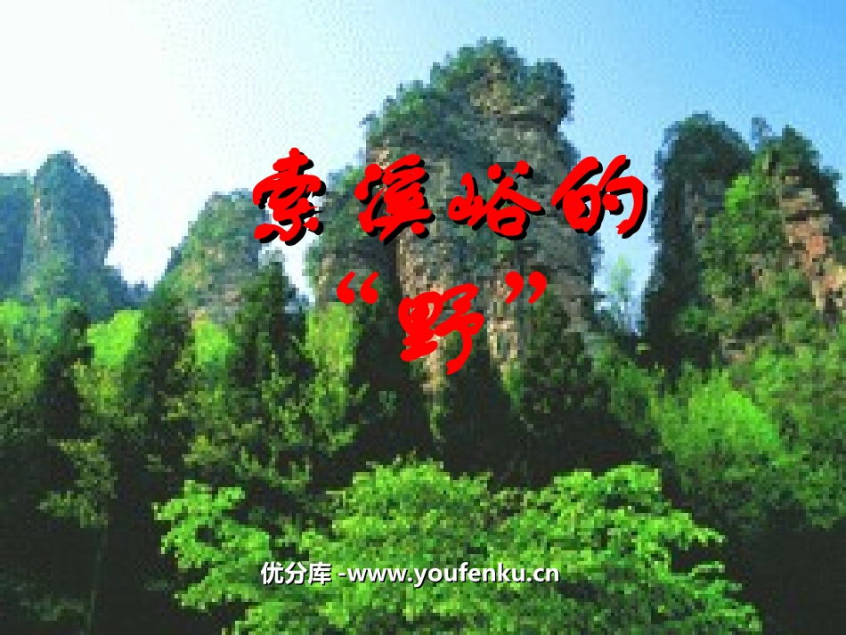 《索溪峪的“野”》PPT课件[部编版六年级语文上册]_第1页