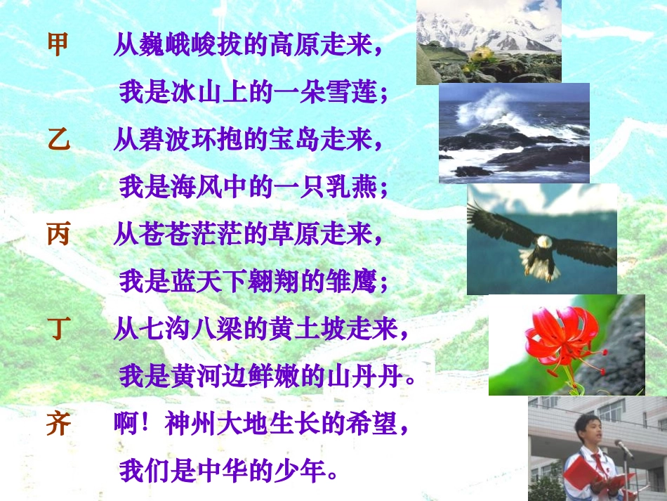 《中华少年》PPT课件[部编版六年级语文上册]_第3页