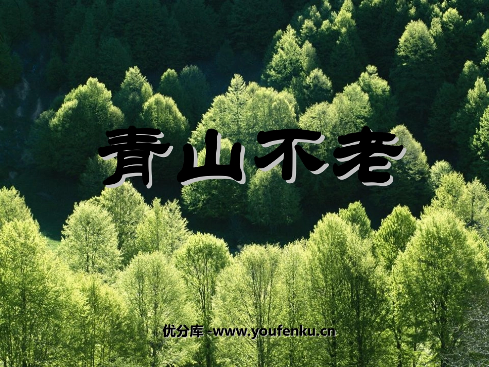 《青山不老》PPT课件[部编版六年级语文上册]_第1页
