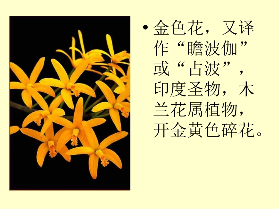 《诗两首-金色花》PPT课件[部编版七年级语文上册]_第1页