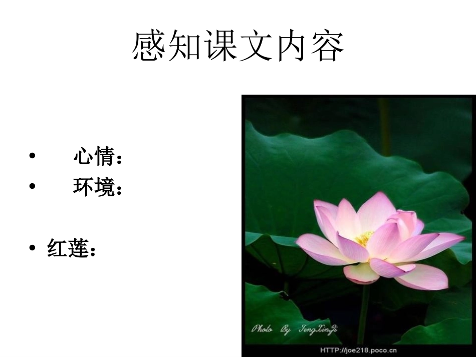 《荷叶母亲》PPT课件[部编版七年级语文上册]_第3页
