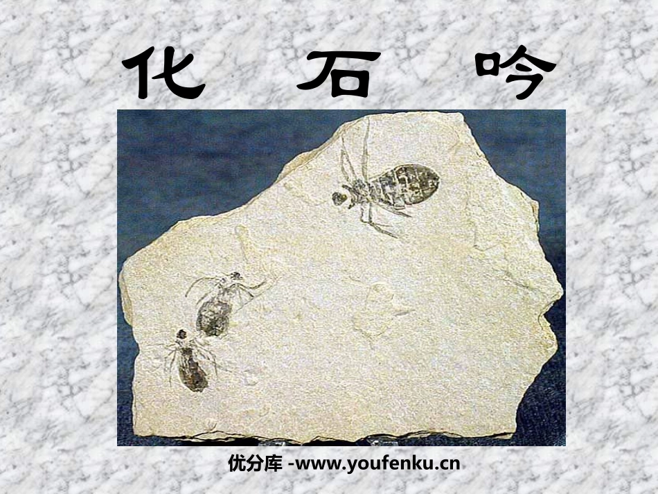 《化石吟》PPT课件[部编版七年级语文上册]_第1页