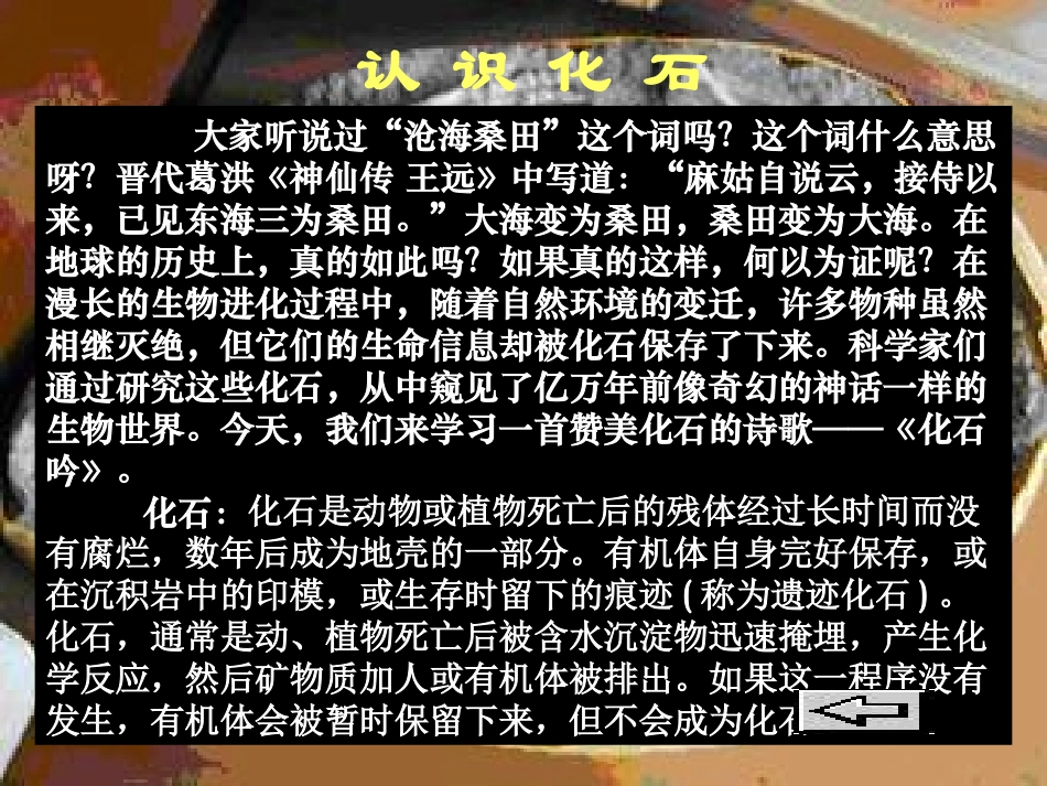 《化石吟》PPT课件[部编版七年级语文上册]_第3页