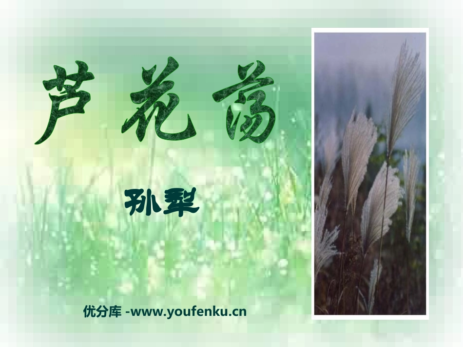 《芦花荡》PPT课件[部编版八年级语文上册]_第1页