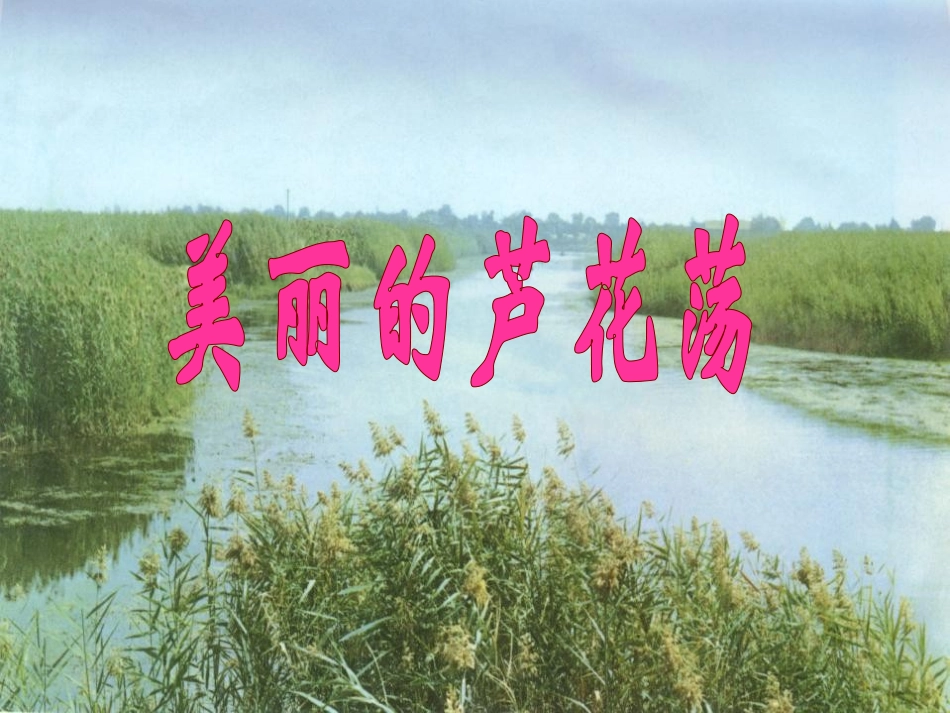 《芦花荡》PPT课件[部编版八年级语文上册]_第2页