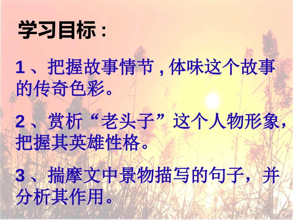 《芦花荡》PPT课件[部编版八年级语文上册]_第2页