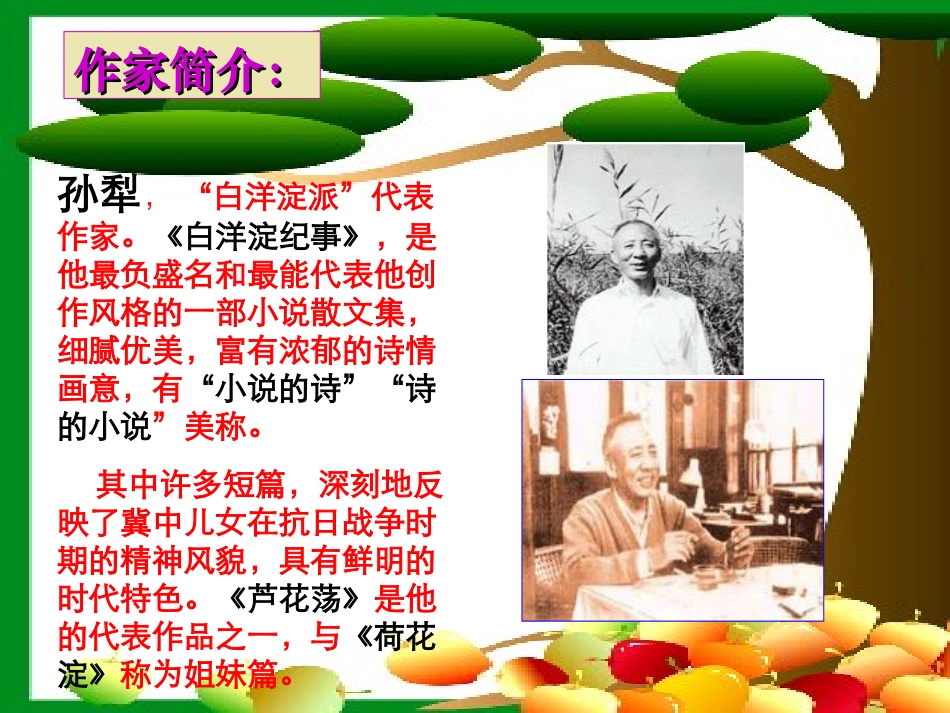 《芦花荡》PPT课件[部编版八年级语文上册]_第3页