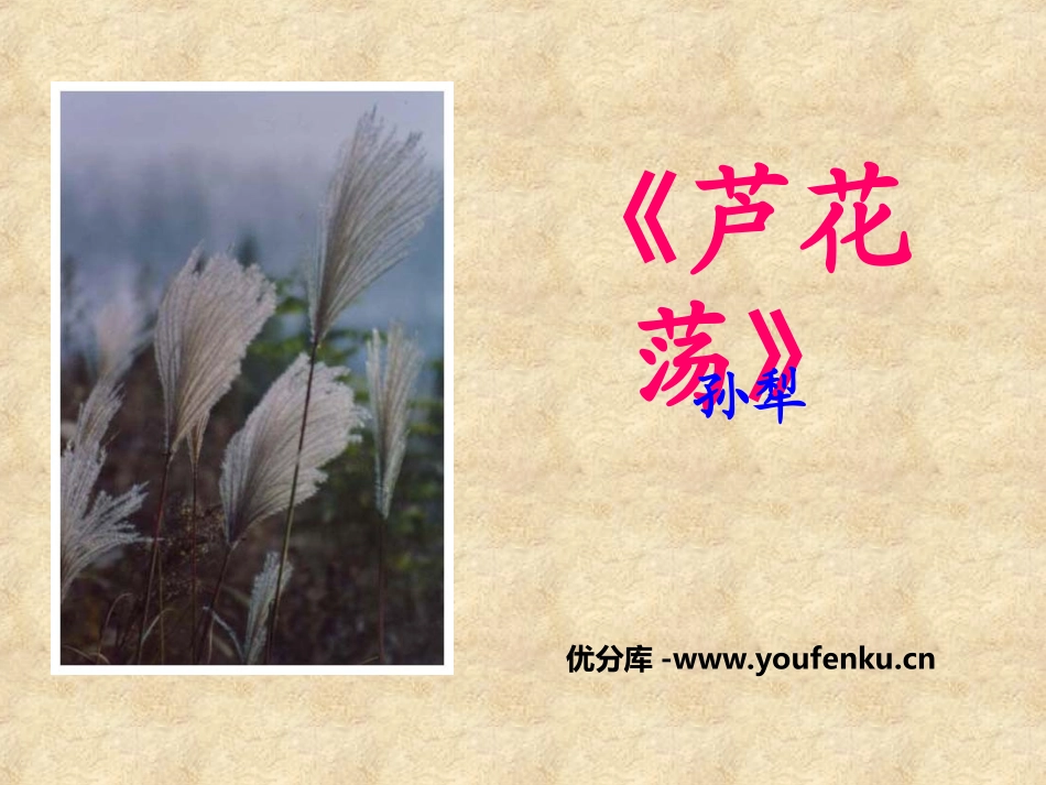 《芦花荡》PPT课件[部编版八年级语文上册]_第1页