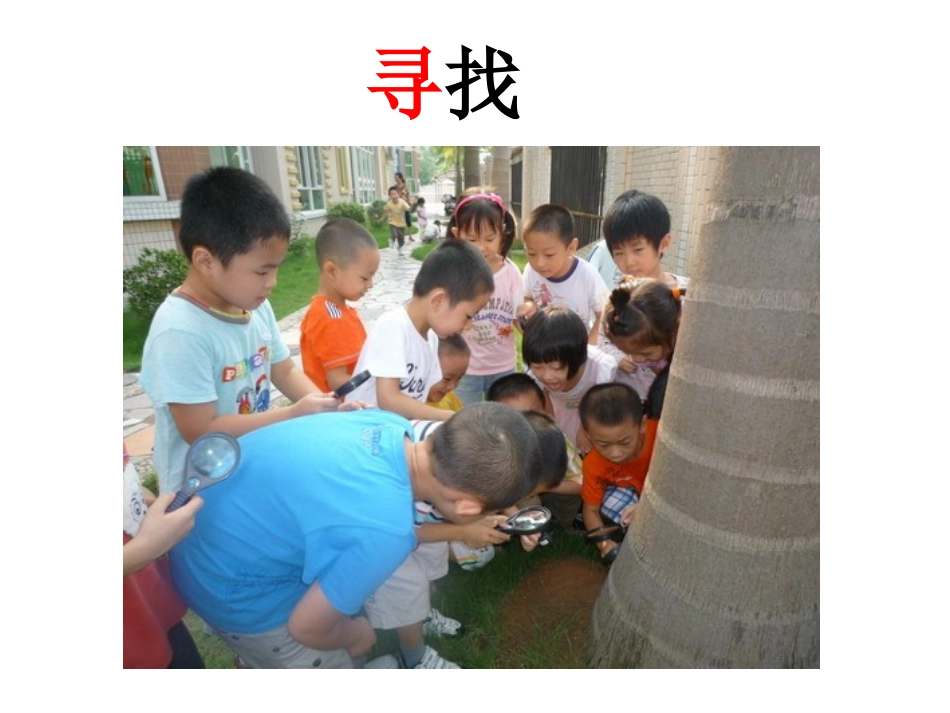《火红的枫叶》PPT课件[北师大版二年级语文上册]_第2页