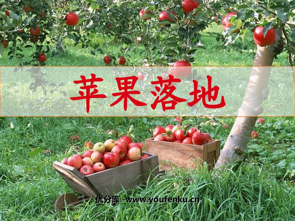 《苹果落地》PPT课件[北师大版二年级语文上册]_第1页
