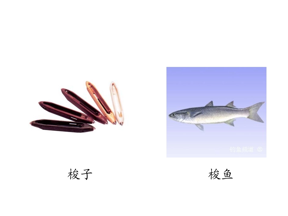 《天鹅、大虾和梭鱼》PPT课件[北师大版二年级语文上册]_第1页