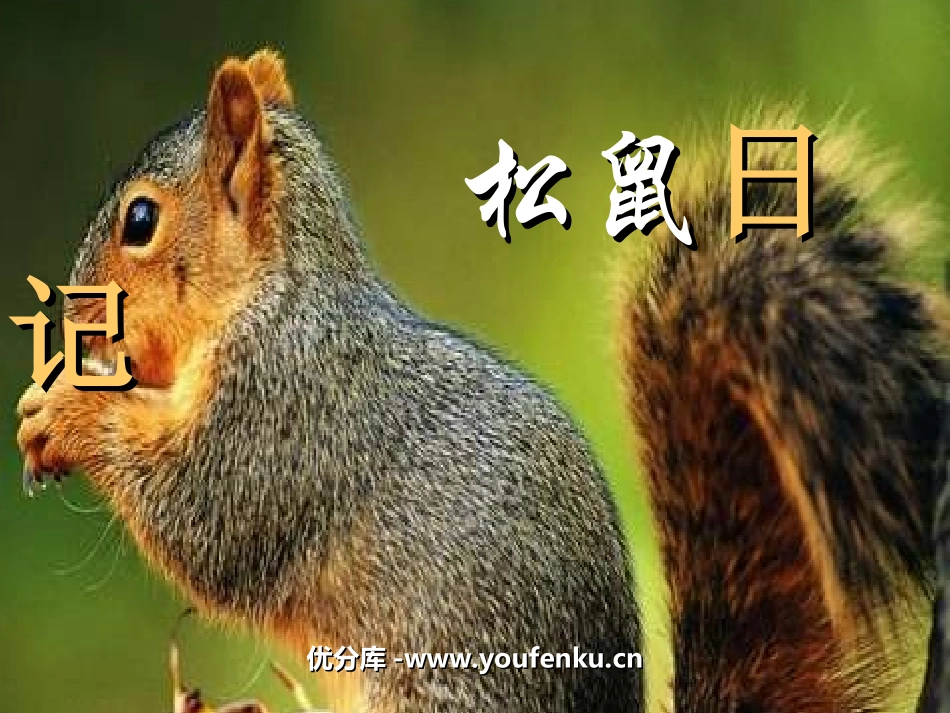 《松鼠日记》PPT课件[北师大版二年级语文上册]_第1页