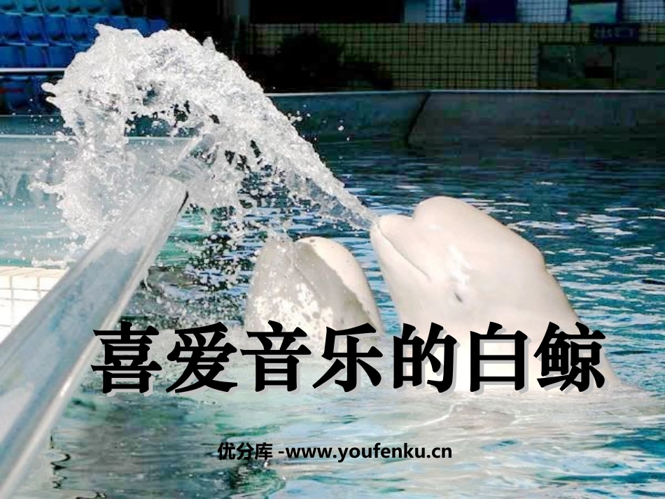 《喜爱音乐的白鲸》PPT课件[北师大版三年级语文上册]_第1页