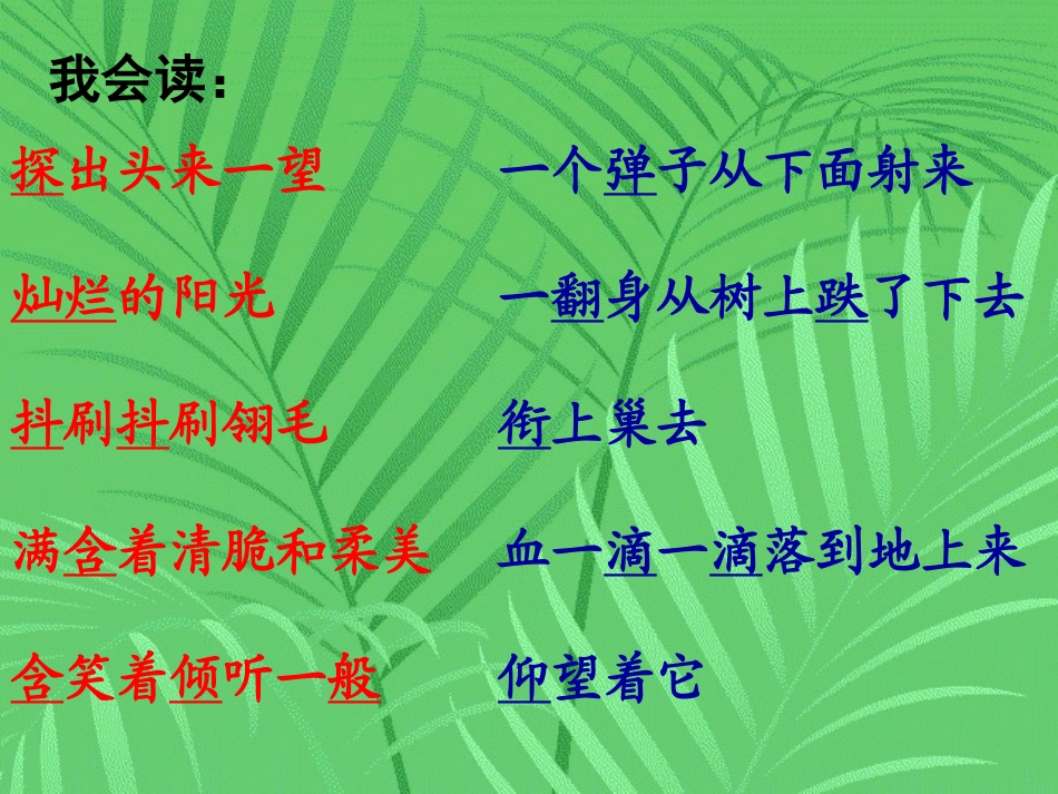 《一只小鸟》PPT课件[北师大版三年级语文上册]_第2页