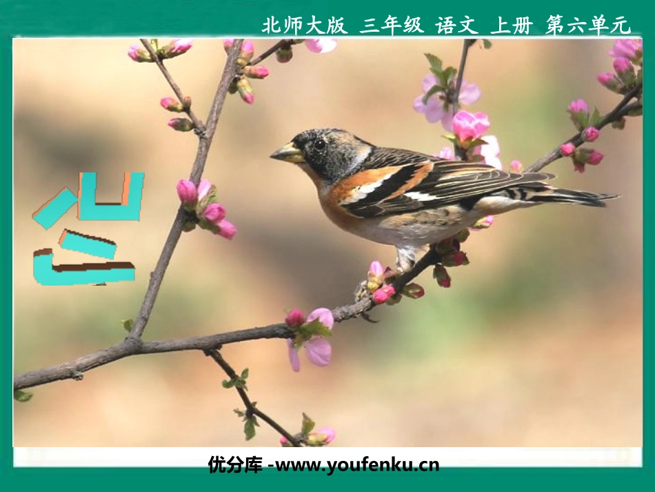 《一只小鸟》PPT课件[北师大版三年级语文上册]_第1页