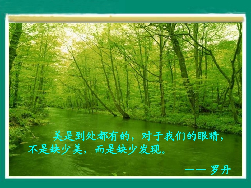 《一只小鸟》PPT课件[北师大版三年级语文上册]_第2页