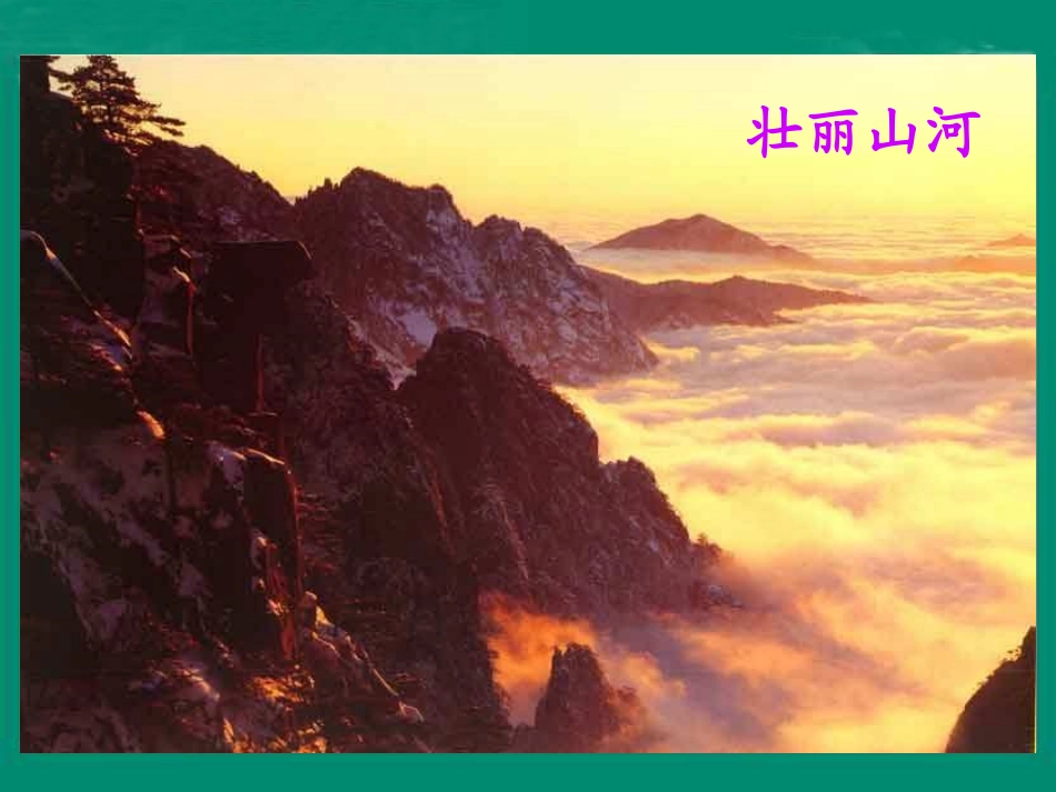 《一只小鸟》PPT课件[北师大版三年级语文上册]_第3页