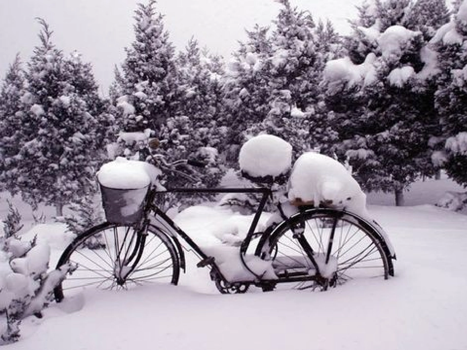 《下雪的早晨》PPT课件[北师大版四年级语文上册]_第3页