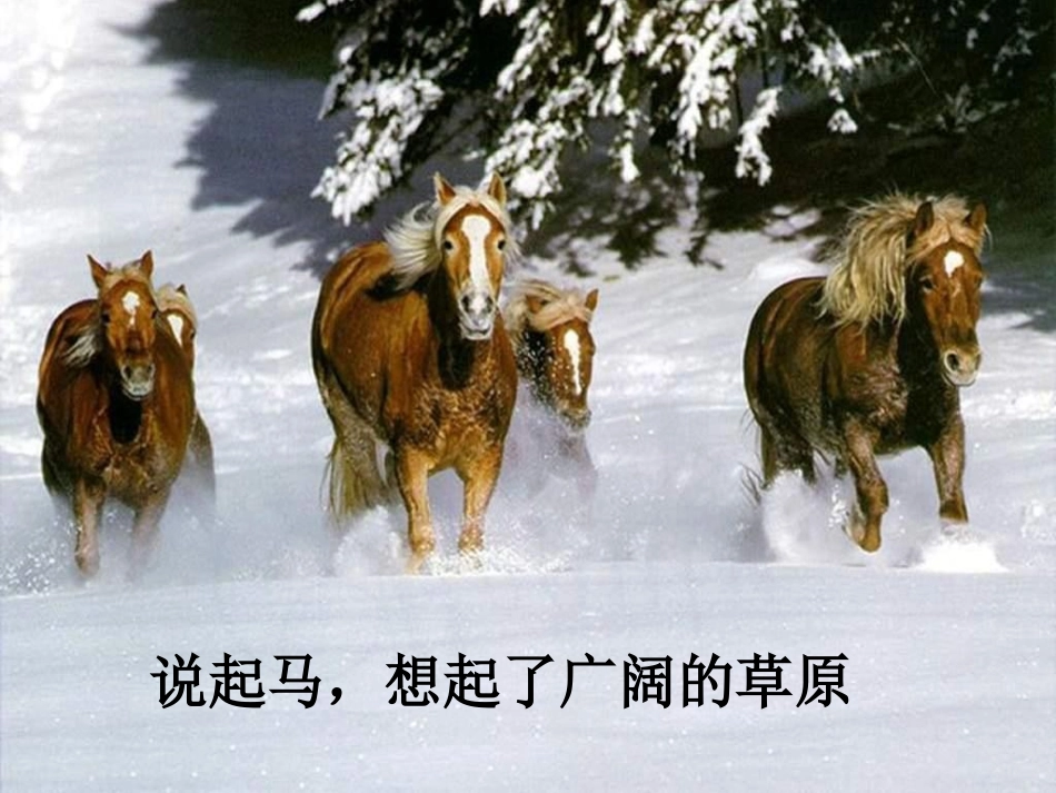 《天马》PPT课件[北师大版五年级语文上册]_第2页