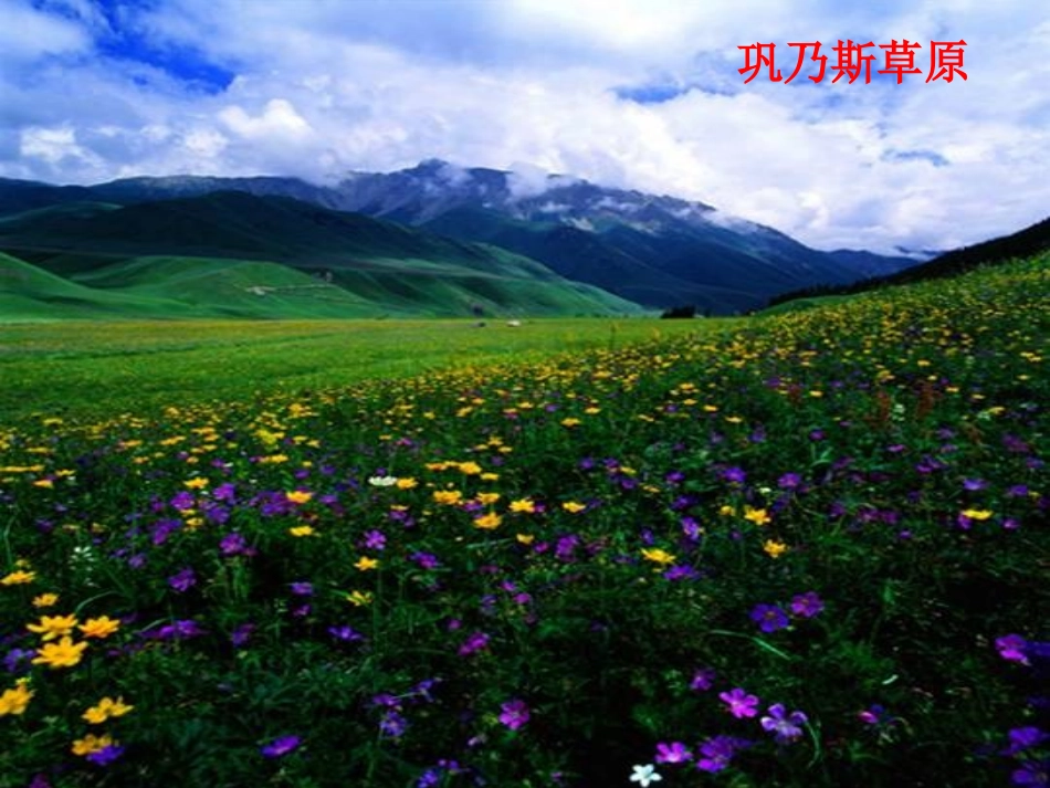 《巩乃斯的马》PPT课件[北师大版五年级语文上册]_第1页