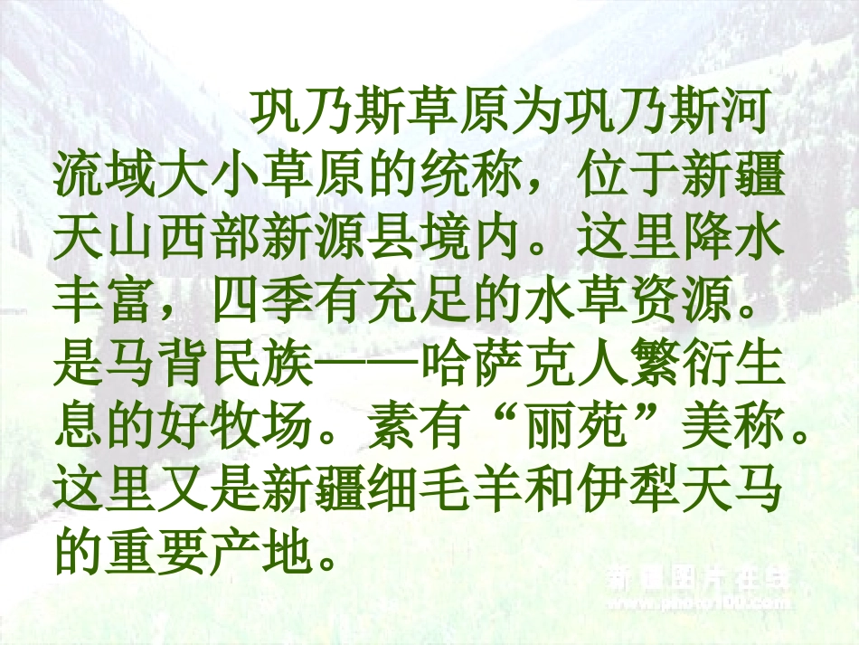 《巩乃斯的马》PPT课件[北师大版五年级语文上册]_第3页