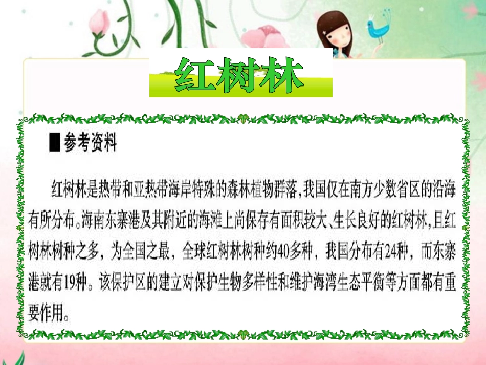 《红树林》PPT课件[北师大版五年级语文上册]_第2页