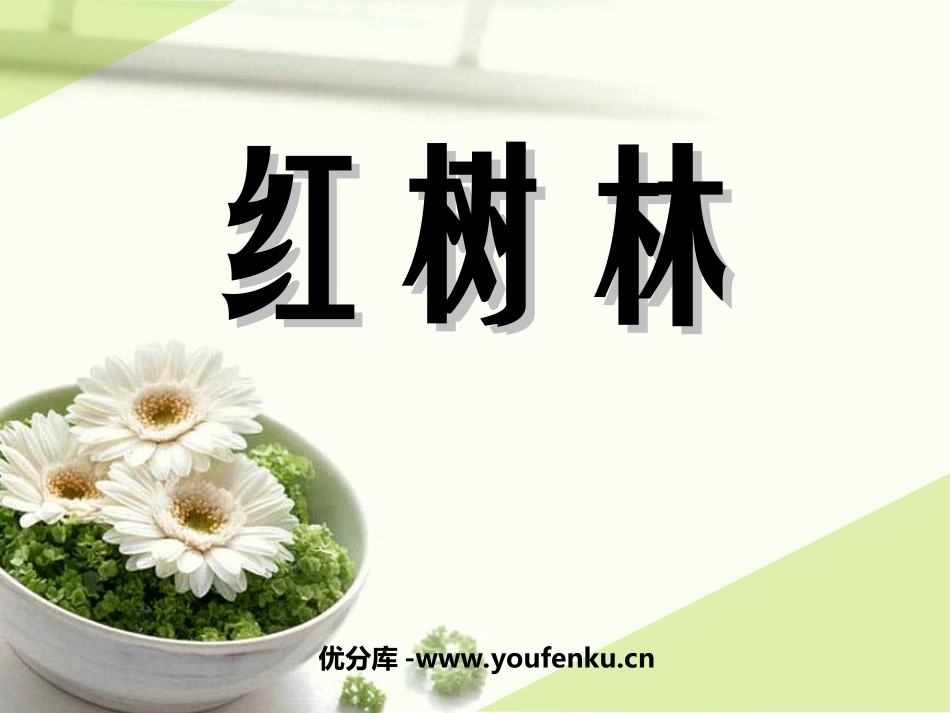 《红树林》PPT课件[北师大版五年级语文上册]_第1页
