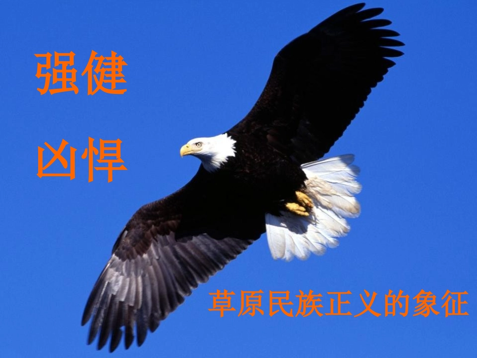 《成吉思汗和鹰》PPT课件[北师大版五年级语文上册]_第3页