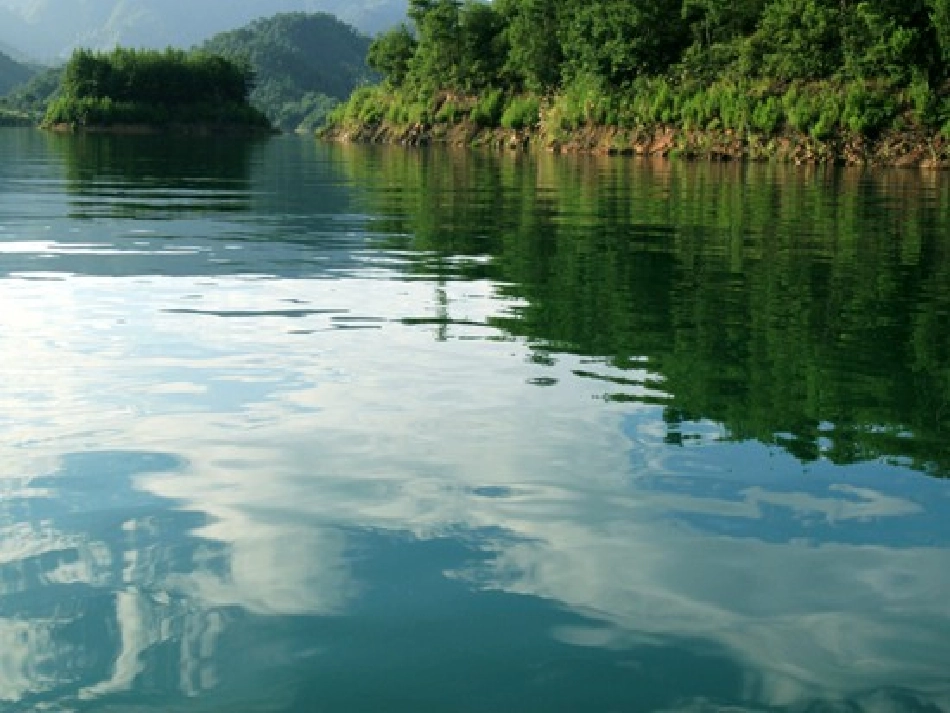 《绿色千岛湖》PPT课件[北师大版五年级语文上册]_第3页