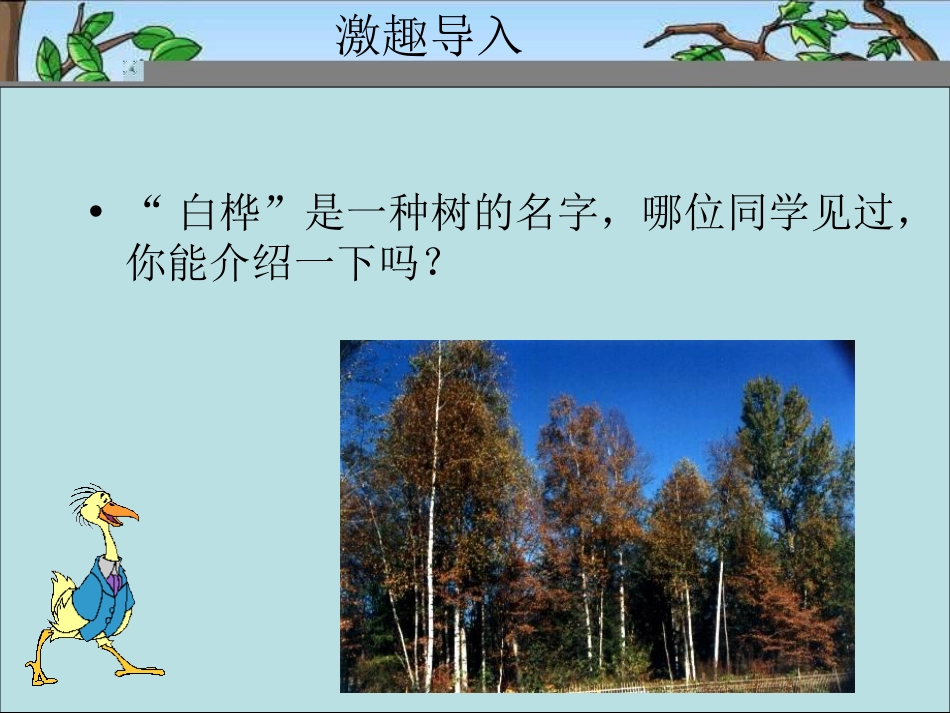 《白桦林的低语》PPT课件[北师大版六年级语文上册]_第2页