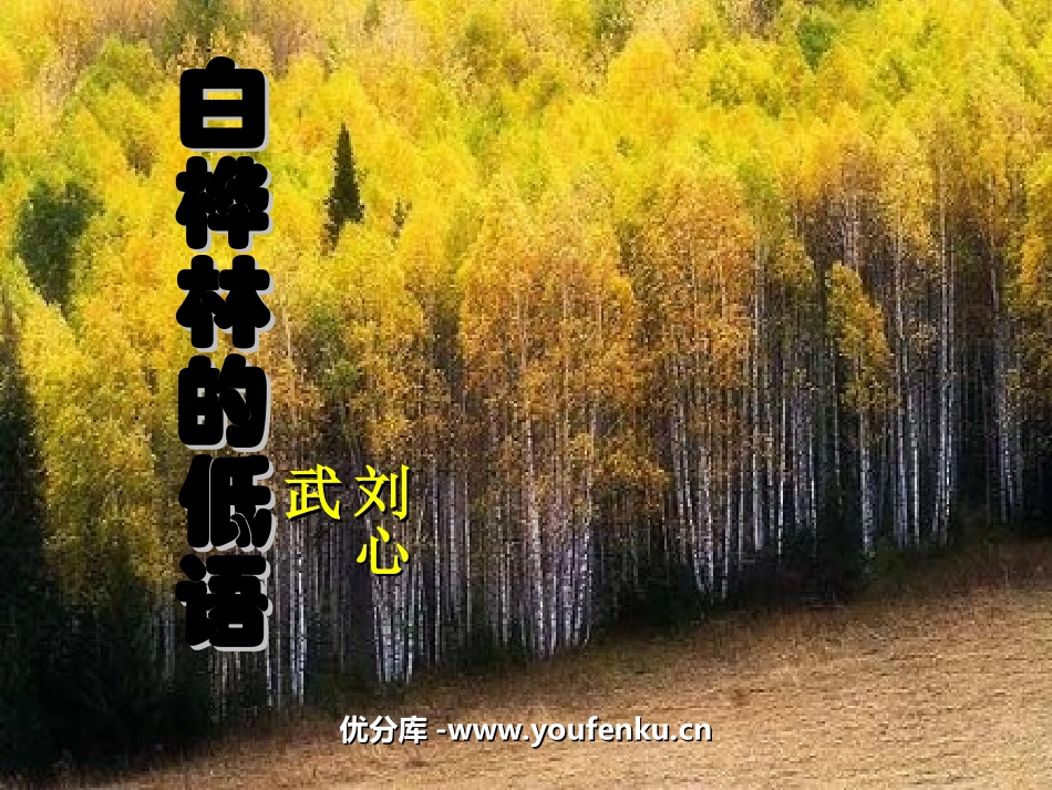 《白桦林的低语》PPT课件[北师大版六年级语文上册]_第1页