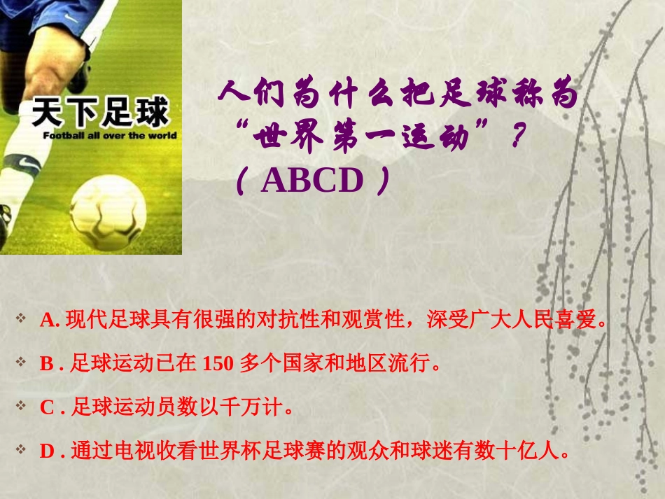 《足球史话》PPT课件[北师大版六年级语文上册]_第3页